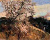 华金索罗利亚巴斯蒂达 - Almond trees in Asis